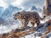 4K Snow Leopard3