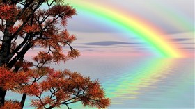 Rainbow Reflection