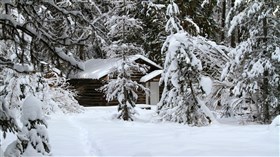 Winter Cabin