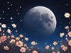 Mays Flower Moon by: teddybearcholla