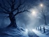 Treanquil Winter by: Jan Oscar