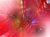 My Xmas by: Ton-K300