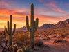 Arizona Desert Sunset by: LightStar