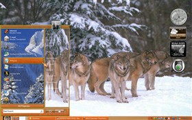 Forest Wolves