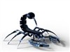 Scorpion by: komputers2010