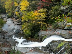 milky stream fall