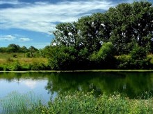 Riverscenery
