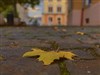 Last Dance by: c31marius