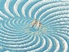 Spiral Sunbathers by: I.R. Brainiac