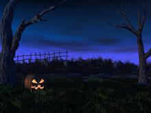 Pumpkin by Night