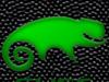 SUSE Linux by: UpsideDownGC