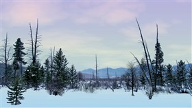 Tundra LV