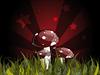 Mushrooms by: floina