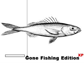 Gone Fishing