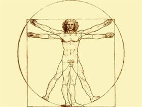 Vitruvian