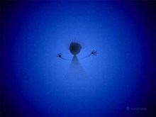 Out From The Deep
