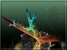 Coral Reef by casperium