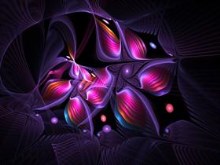 Apophysis Polymorphism by Gibson125