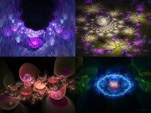 Flowerings Pack 12 by love1008