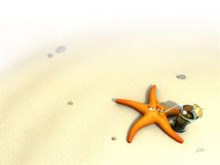 Starfish-by nicobou
