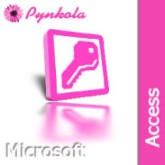 Microsoft Access