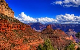 Grand Canyjon View