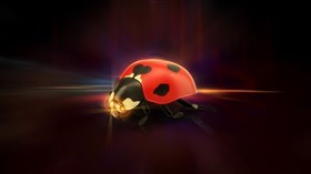 Ladybugger