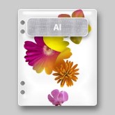 Adobe Illustrator CS File