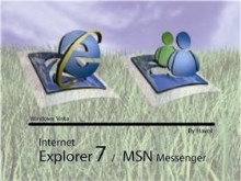 Internet Explorer & MSN Messenger 3030