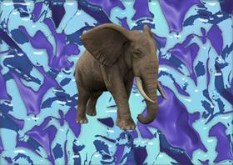 Elephant Blue