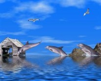 Dolphins II