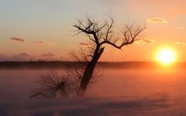 Cold Sunrise - ws