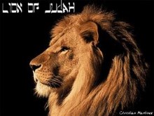 Lion Of Judah