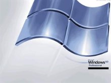 Windows XP Professional Steel
