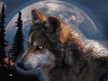 Wolf (full moon)