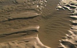 Beach Puddle