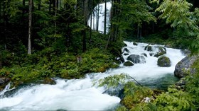 Spectacular High Forest Waterfall 2