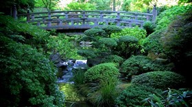 Garden Bridge Falls