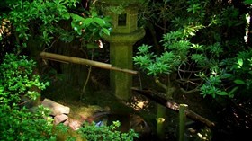 Bamboo Water Spout