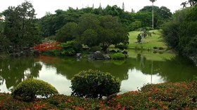 Garden Pond View