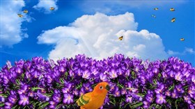 Spring Time