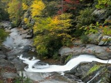 milky stream fall