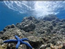 underwater waves