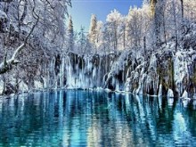 winter splendor