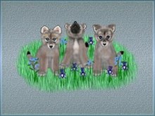 Wolf Cub Trio