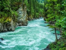 Flowing river between trees