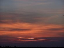 Daytona Sunset