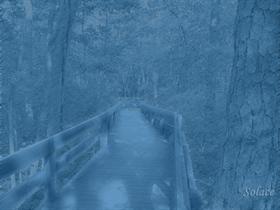 Solace in Blue XP