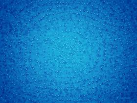 Water Drops