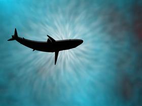 Don't Look Up
